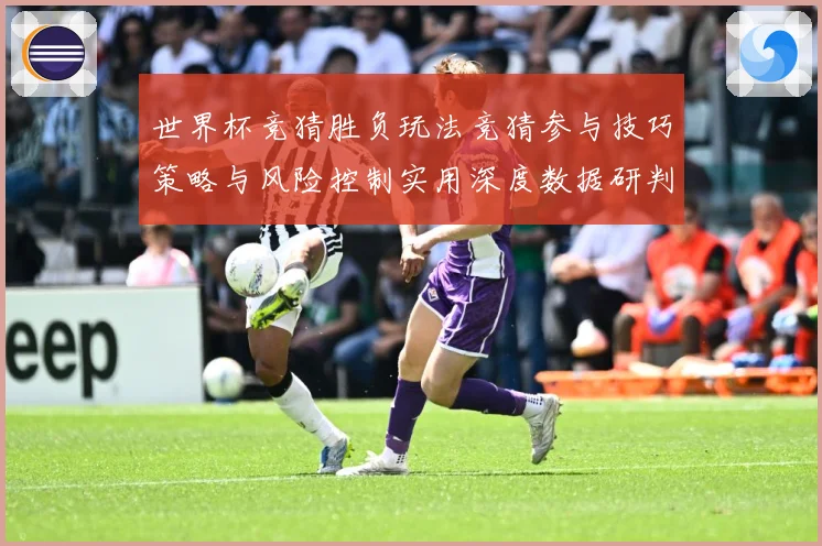 世界杯竞猜胜负玩法竞猜参与技巧策略与风险控制实用深度数据研判