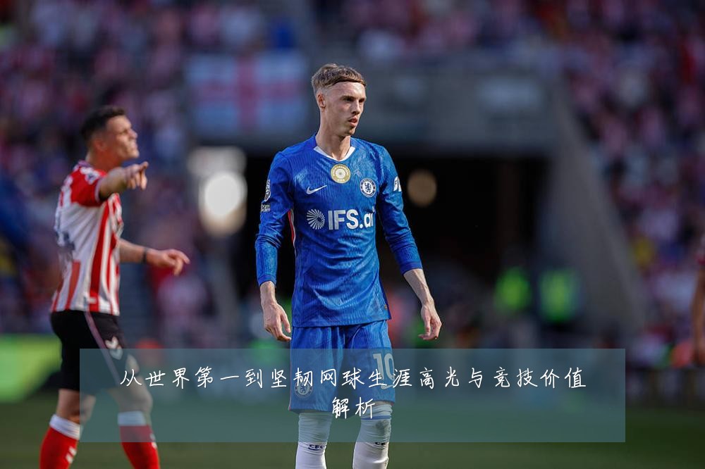 从世界第一到坚韧网球生涯高光与竞技价值解析